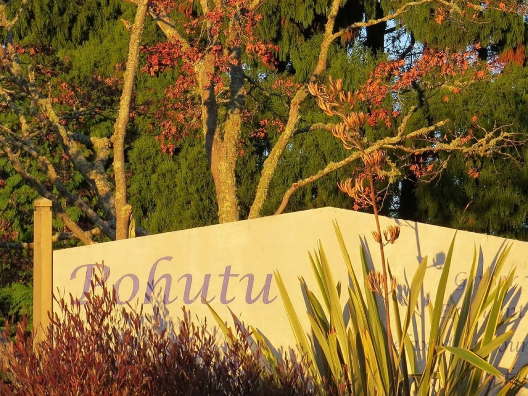 Pohutu Lodge Motel Rotorua Extérieur photo